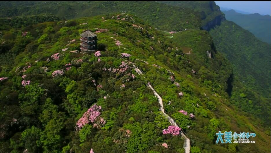 金佛山宣传视频