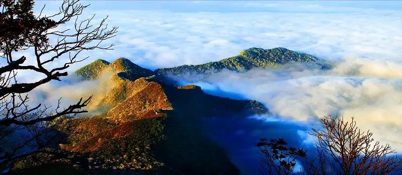 “绿水青山金佛山” 气象摄影征稿活动火热进行时!
